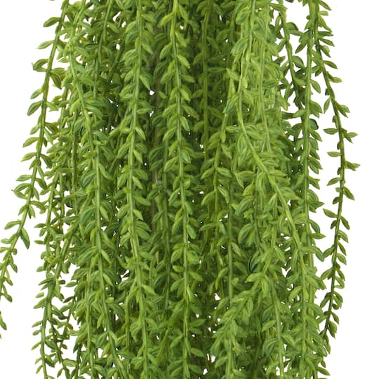 6 Pack: 31" Weeping Willow Bush by Ashland®